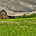 Smith Barn Spring